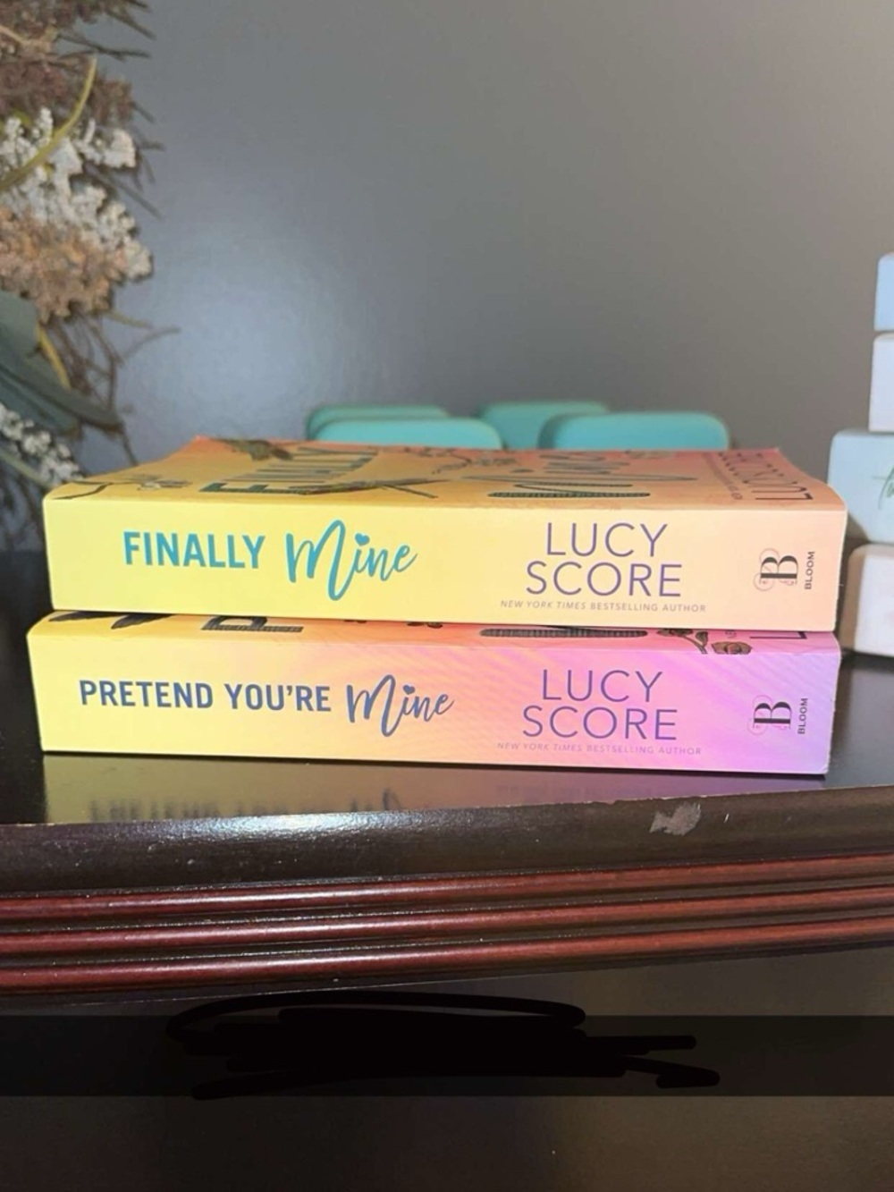 Lucy Score book set